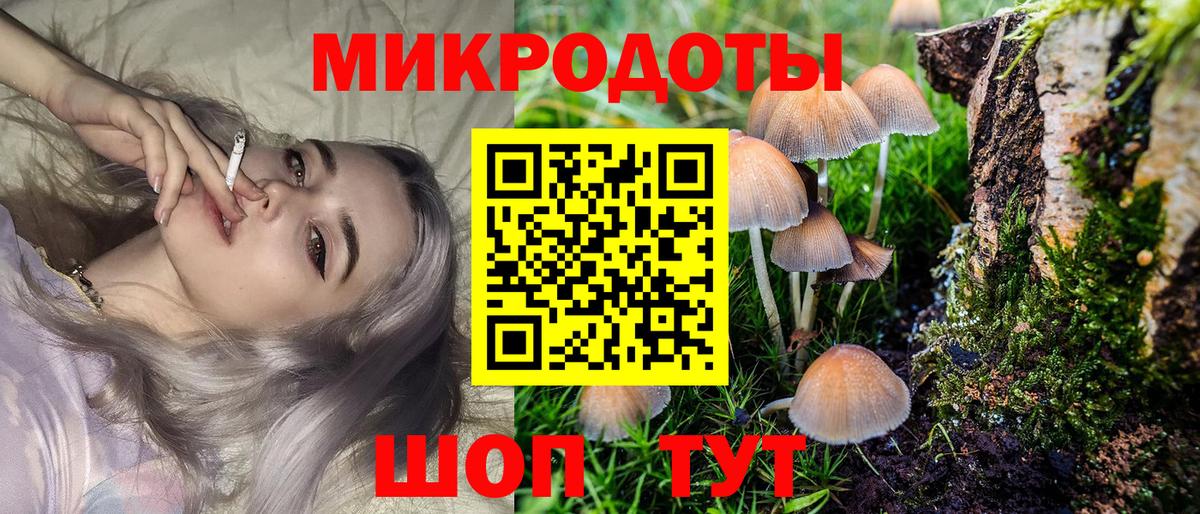 Тверь  как найти   Вход с VPN  Галлюциногенные грибы мицелий 