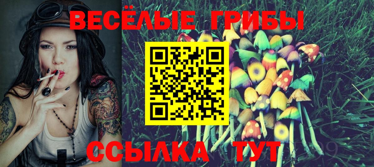 Псилоцибиновые грибы ЛСД Тверь