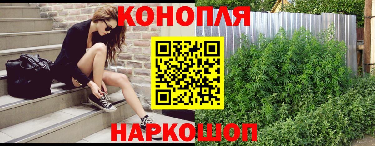 Бошки Шишки SATIVA & INDICA  Шишки марихуана гибрид  Вход с VPN  Шишки марихуана SATIVA & INDICA  Тверь 